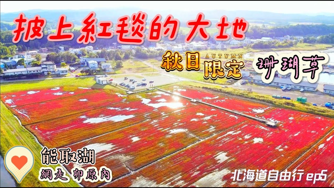 【🇯🇵北海道自由行 EP 5】秋季限定 能取湖紅色地毯-珊瑚草 | 竟然有湖景第一排的免費露營場 | 網走湖畔溫泉澡點分享 | Day 2