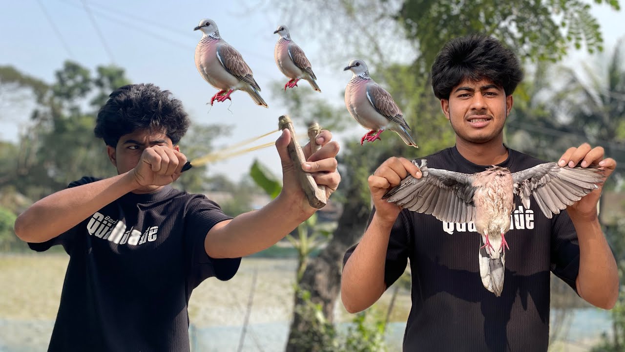 প্রথম বুলেটে ঘুঘু পাখি শিকার ⚡😎💣 #টিয়া #শালিক #বলক #ফাদ #দোরা #ওয়াপাখি #বলক #ফাদ #ওয়াপাখি #দোয়েল 
