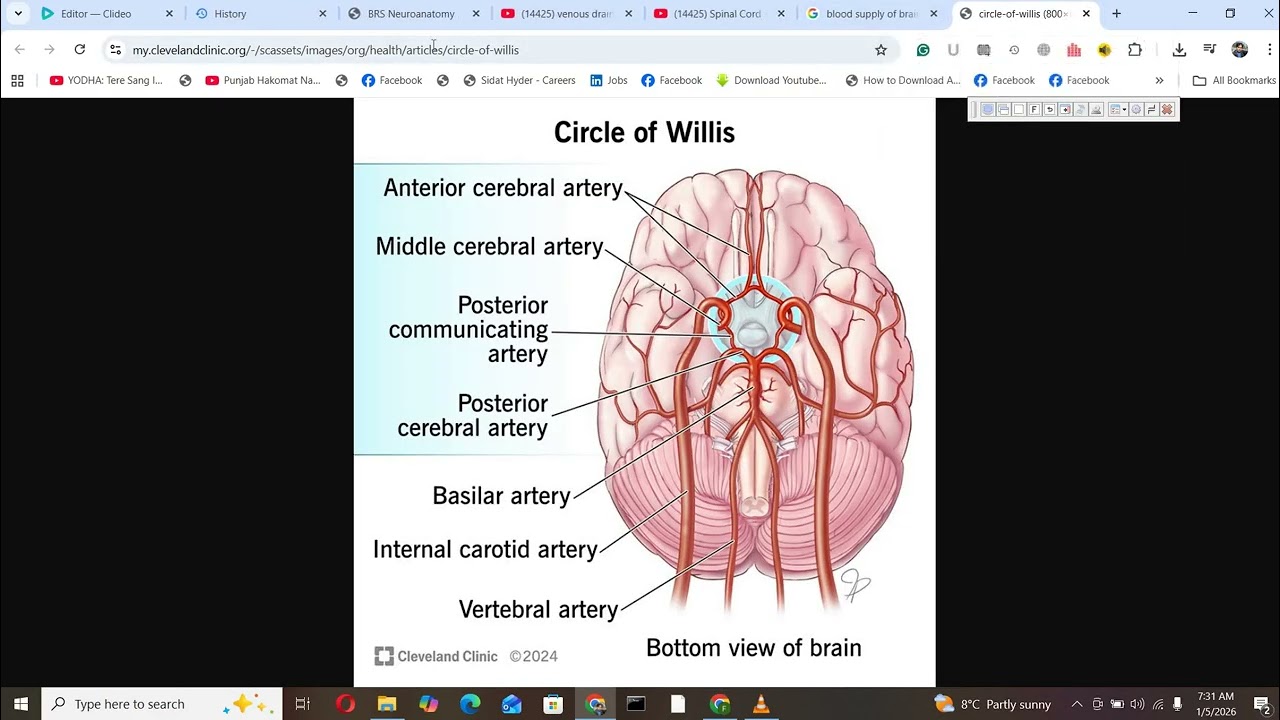 Veena Child Fund Neuro-Anatomy Blood/Nerve Supply of Brain & Spinal Cord MBBS Part-1