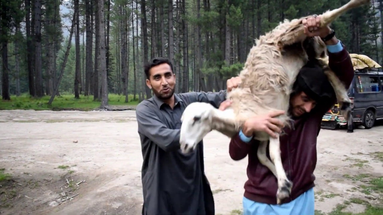 Tour From Shawar Swat to  Kumrat  | Gabra l| Kumrat valley