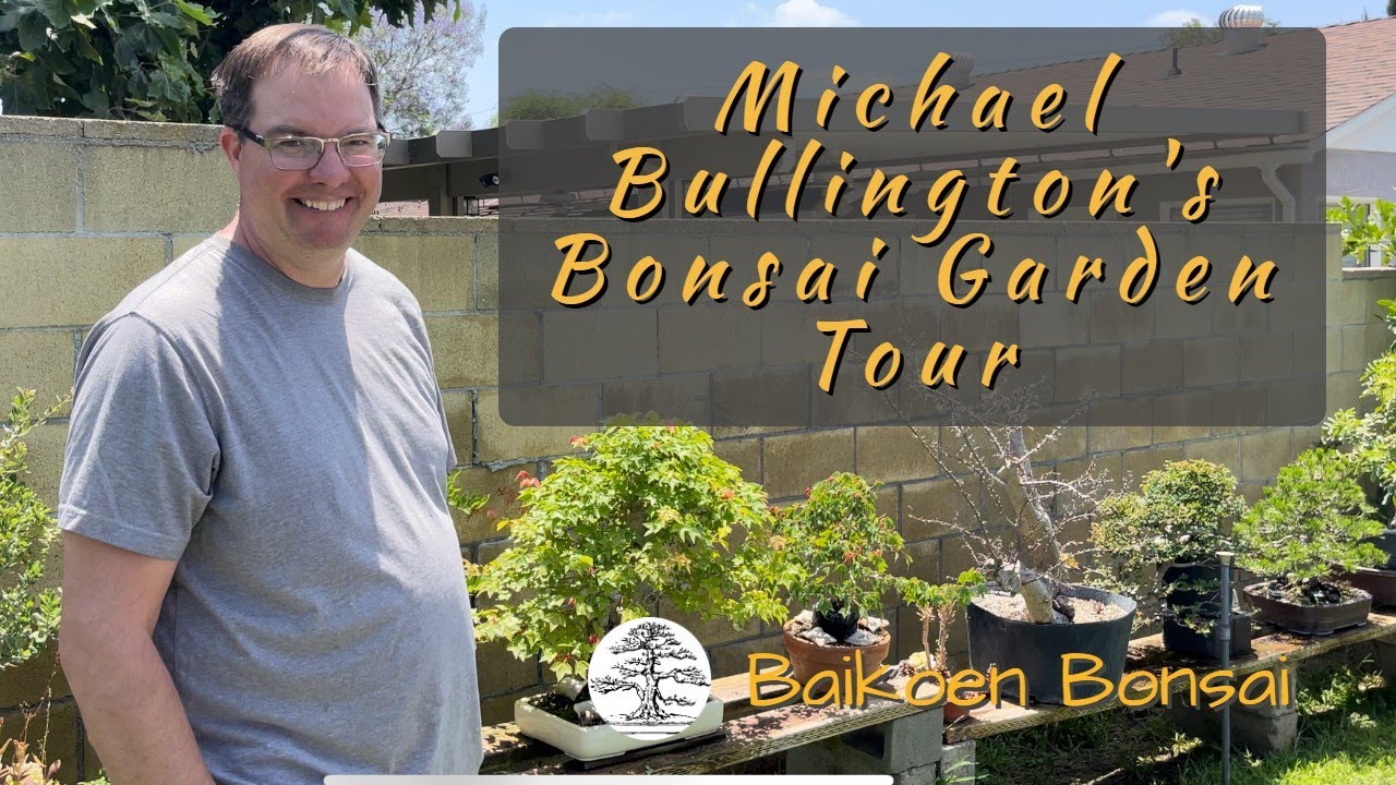 Michael Bullington - Bonsai Garden - Baikoen Bonsai Club