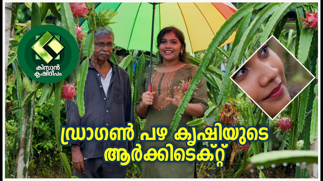 Kissan Krishideepam Episode-1127 The architect of Dragon fruit cultivation