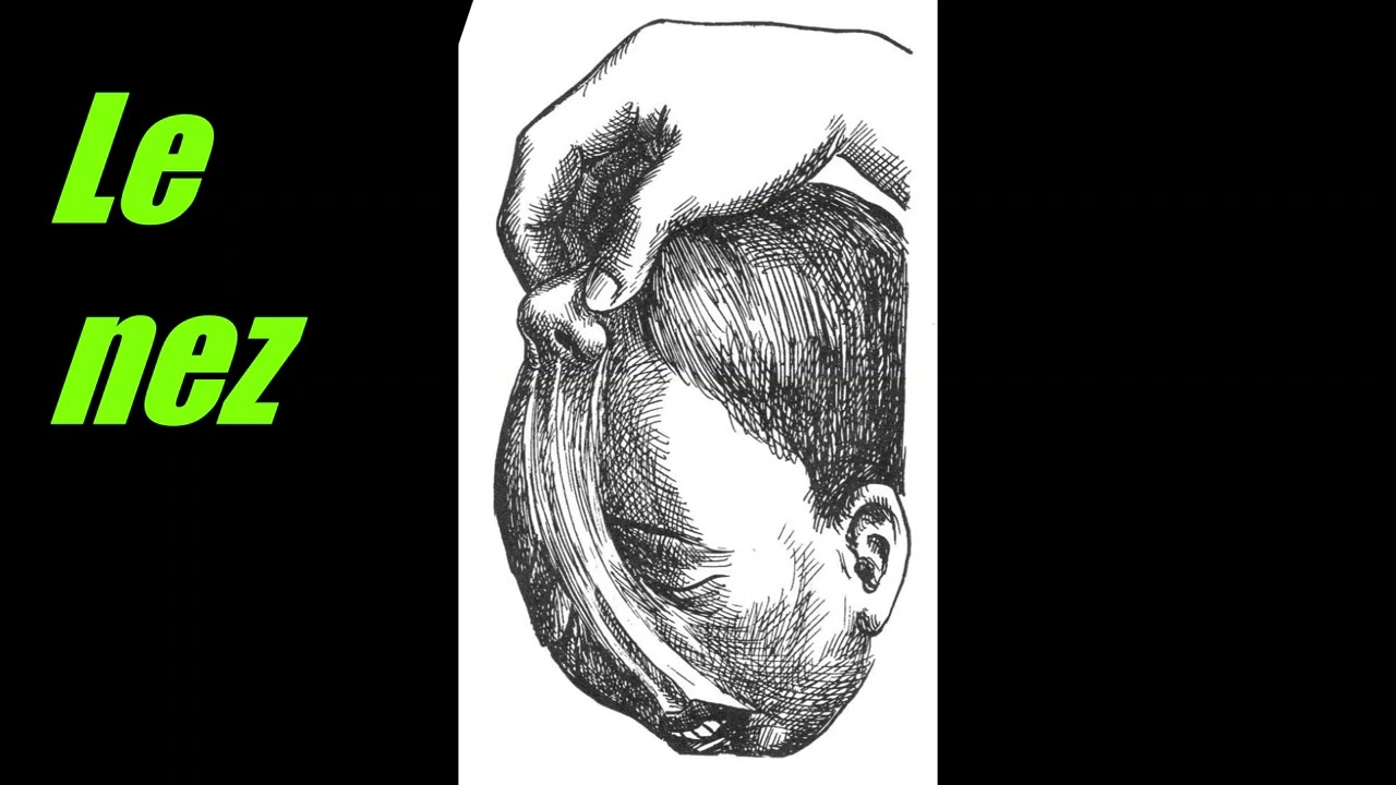 Le nez (Nikolaï Vassilievitch Gogol)