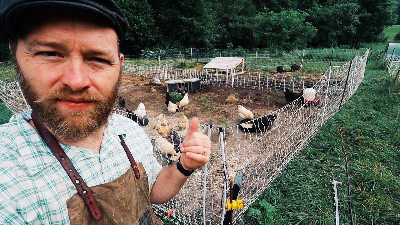 Herbal deworming for ALL | PIGS + Chickens Too