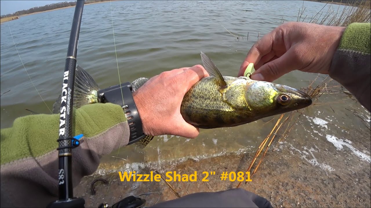 Xesta Black Star s83 vs Судак (на платнике).