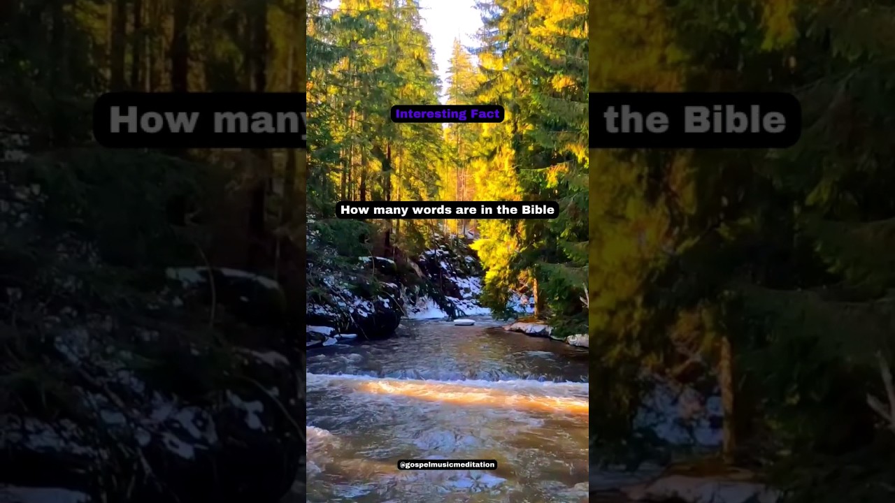 How Many Words Are in The Bible 📖 #WordsInBible #BiblicalTrivia