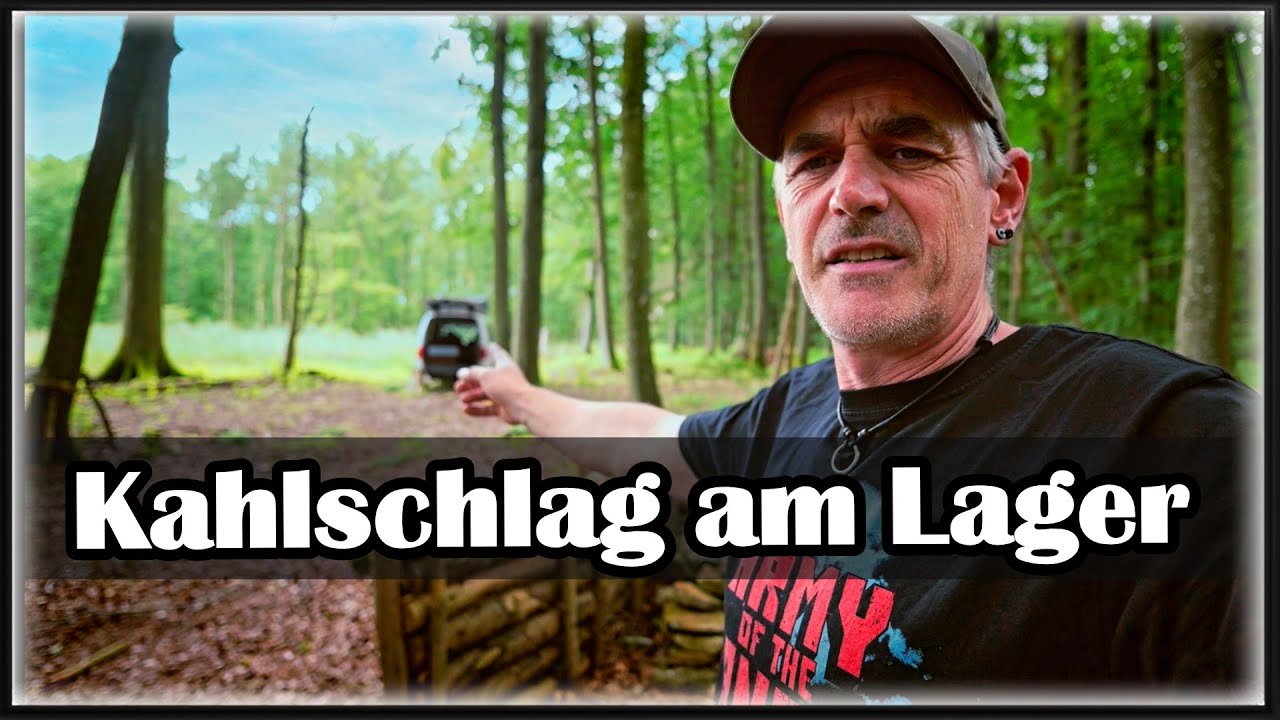 Der ganze Wald gerodet - Kahlschlag am Waldlager