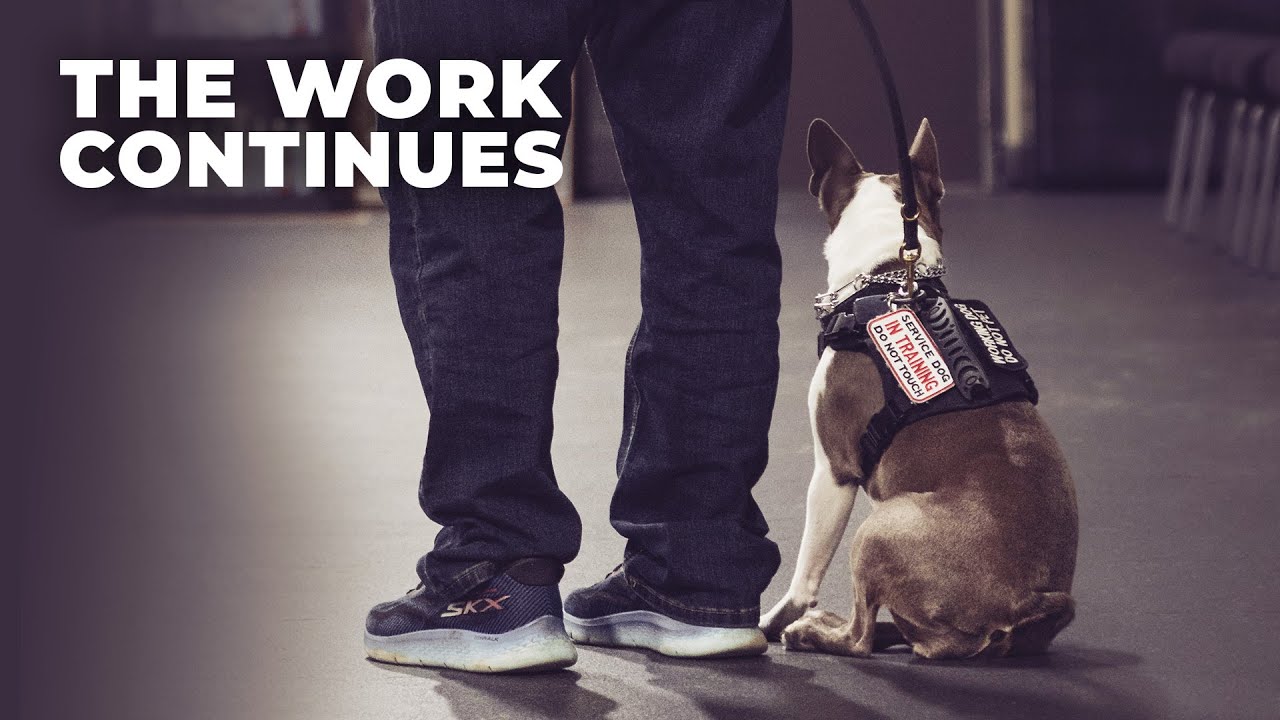 The Work Continues | Inside Veteran Service Dog Training