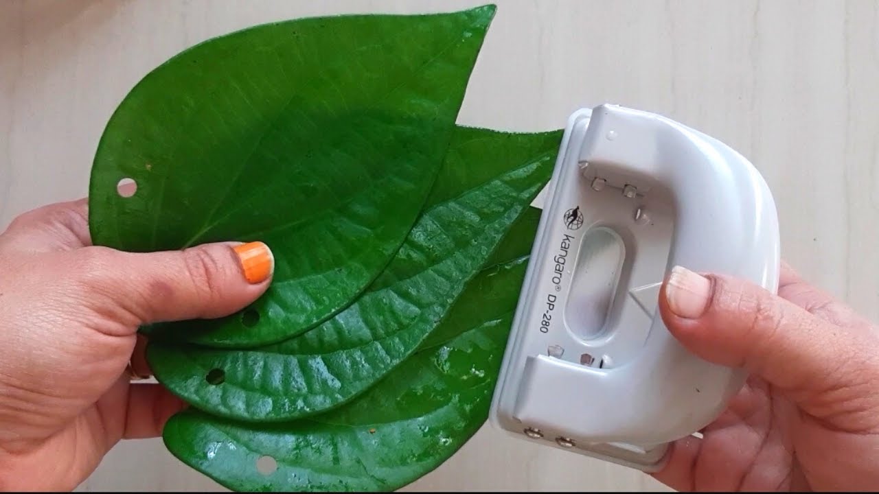 Betel Leaf Garland - ವೀಳ್ಯದೆಲೆ ಮಾಲೆ |  garland for god | Garland for Varamahalaxmi pooja