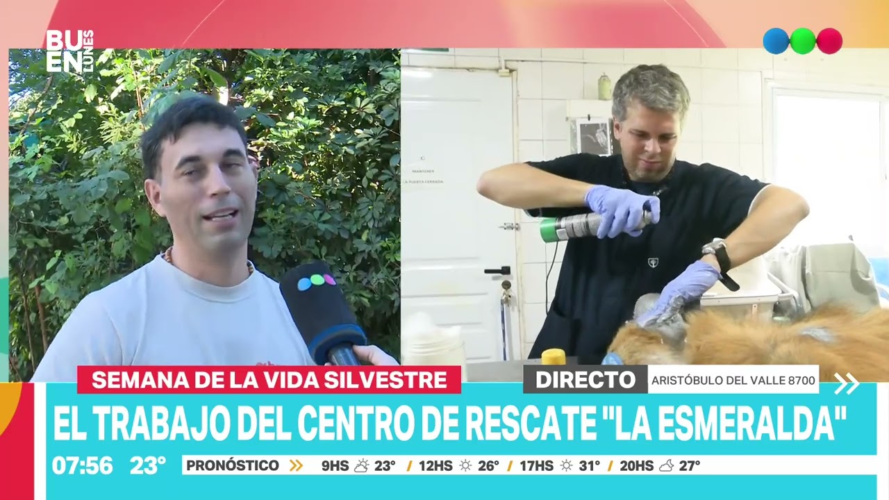 En la semana de la vida silvestre, el trabajo de Centro de rescate 