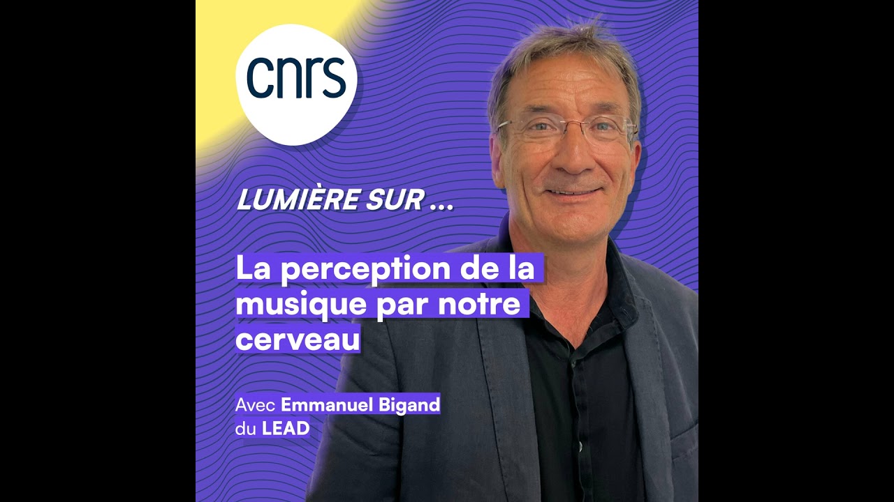 Lumière sur... la perception de la musique par notre cerveau