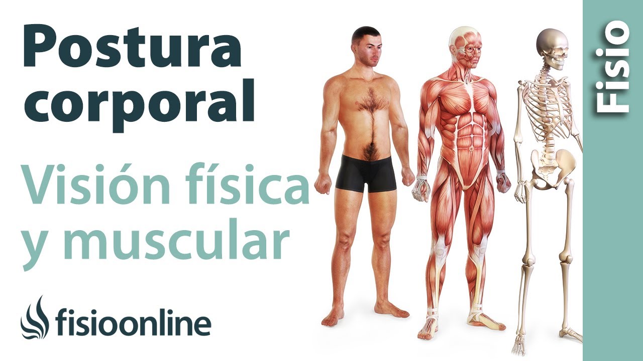 Postura corporal - Visi&oacute;n f&iacute;sica y muscular