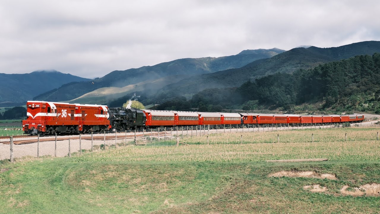 Steam Incorporated's Daffodil Express 2024