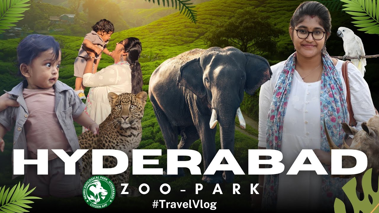 Nehru Zoo Park Hyderabad ll Latest Timings, Ticket prices and All other Details #zooparkhyderabad