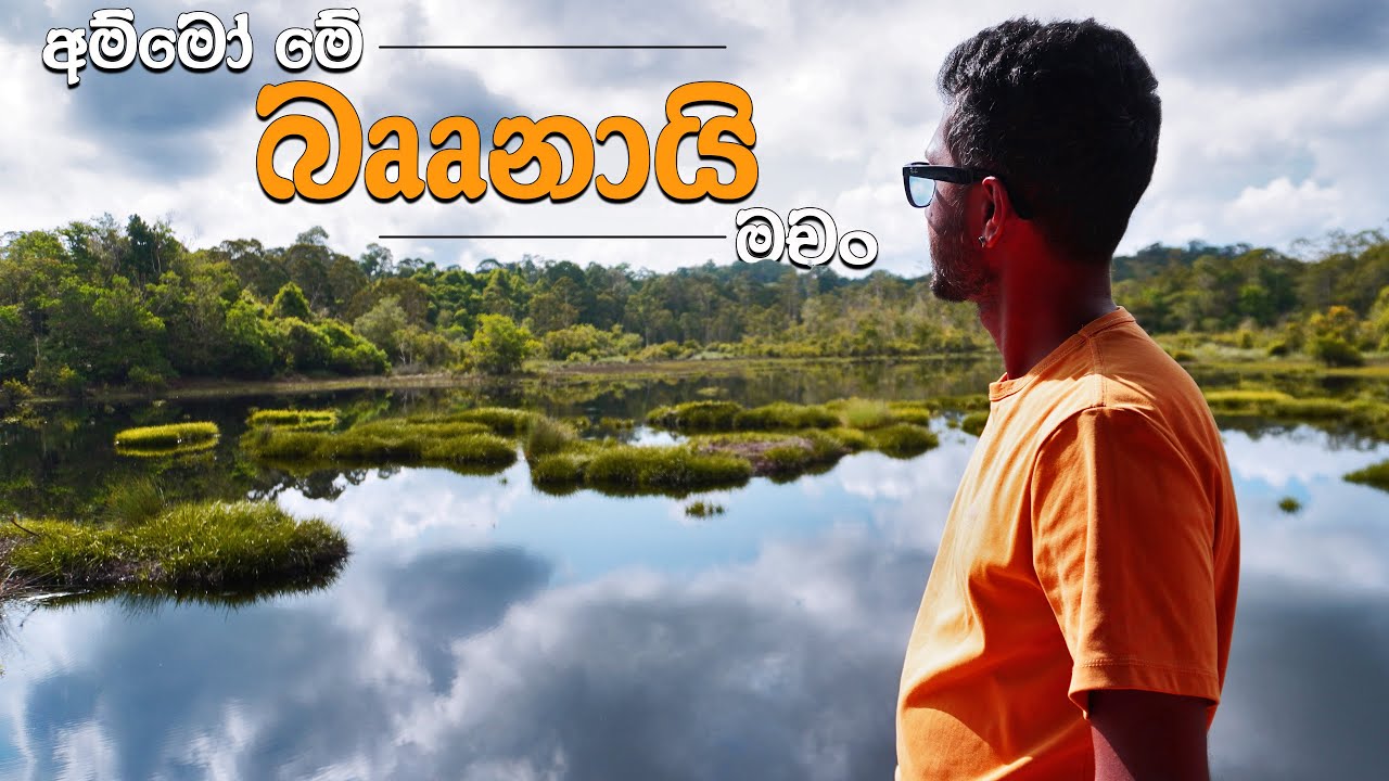 බෲනායි රටේ තෙල් ලිං | Exploring Brunei Darussalam 🇧🇳 | බෲනායි සිව්වැන්න | මගේ 05වෙනි රට (2024)