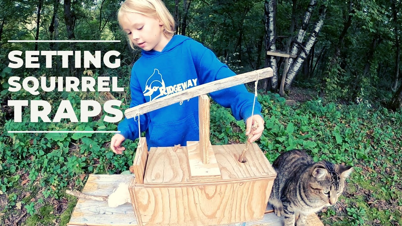 Squirrel Trapping for Kids: How to with an Eight Year Old Trapper