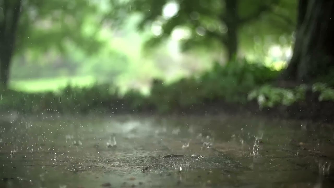 Slow Motion Rain Stock Footage in 4K | Free HD Rainfall Video