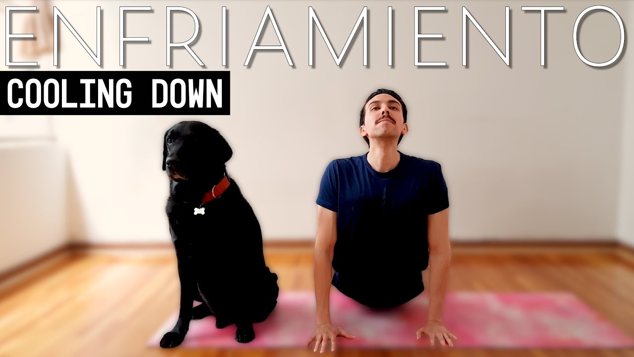 Ejercicios de ESTIRAMIENTO para DESPUÉS DE ENTRENAR || Cooling Down Exercises