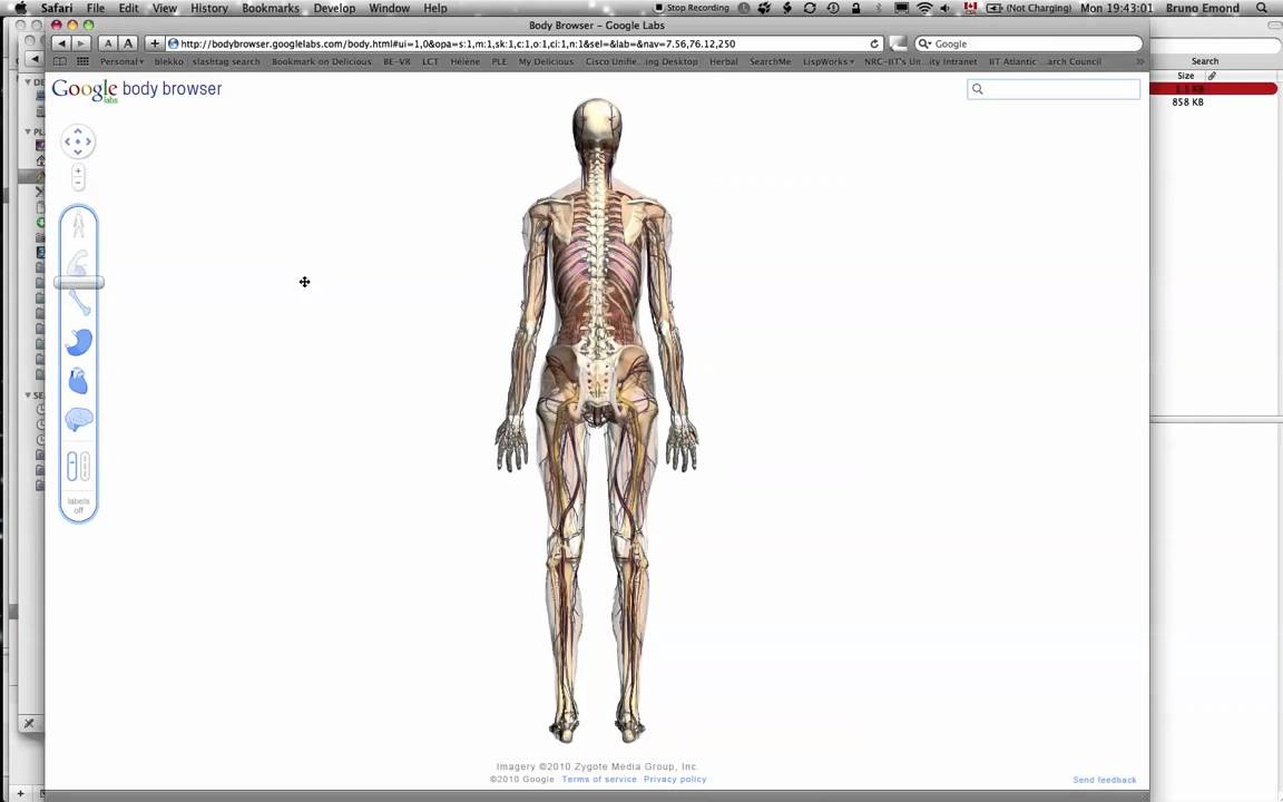 Google Body Browser