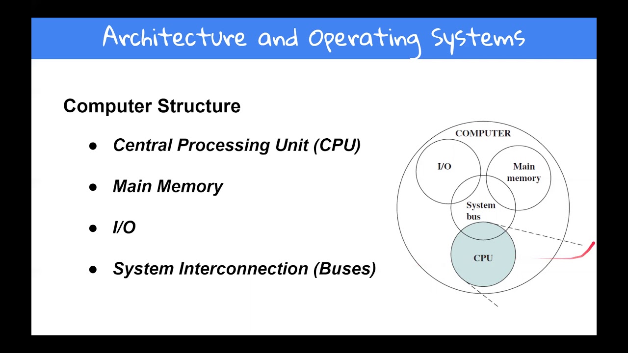 Computer Structure and Function