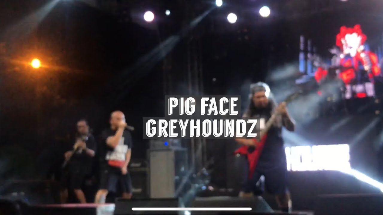 Greyhoundz I Pig Face I KAMIQUESOHOUNDZ TOUR 2019 Rizal