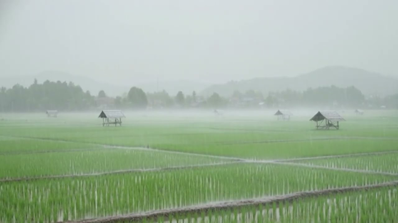 rain  sounds relaxing midnight rain ambience rain sounds for sleep