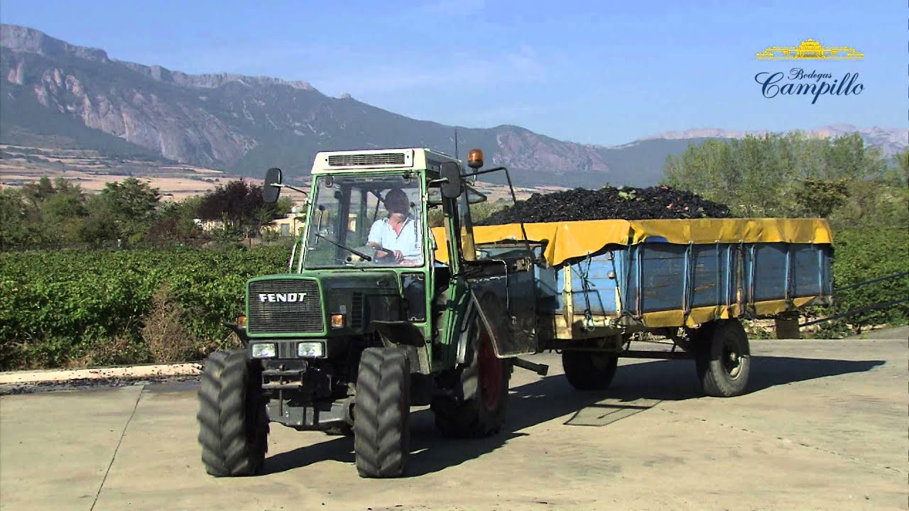 Bodega Campillo