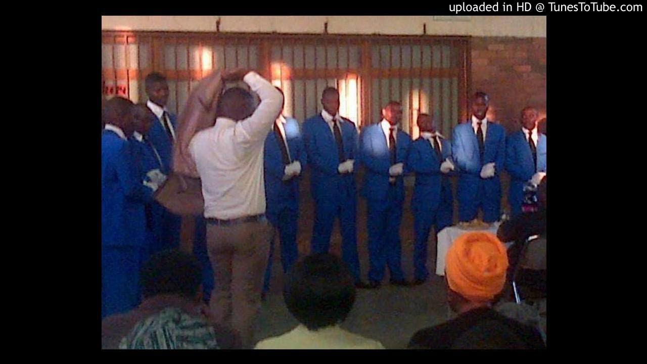 nongoma thululalele - izinkomo zamabheka