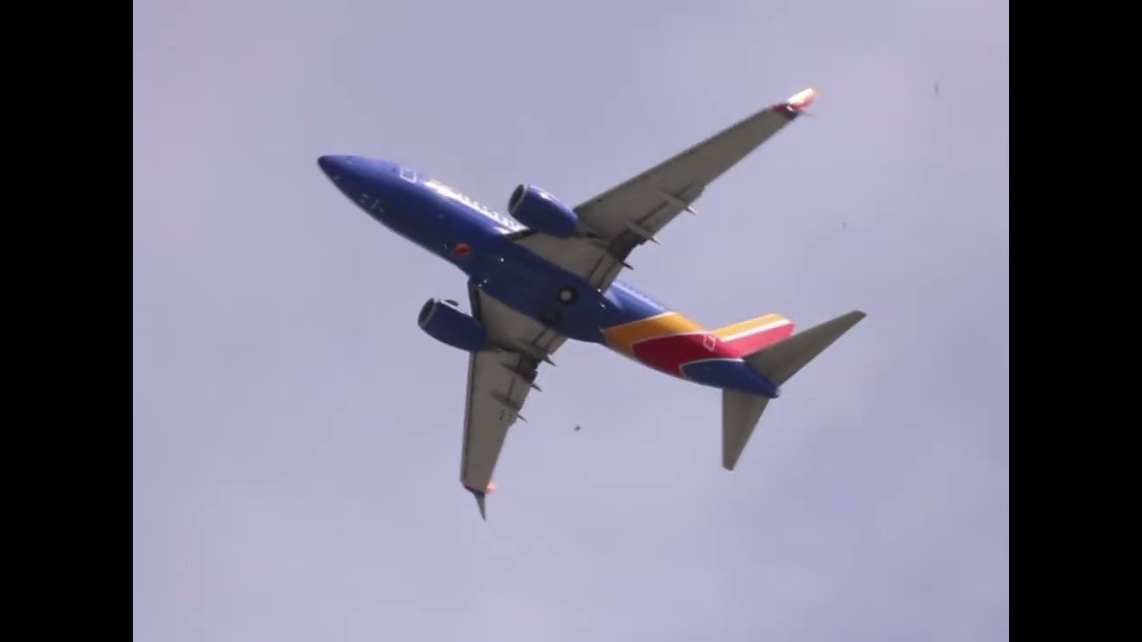 LAX YouTube 2025 Recap Series Part 3