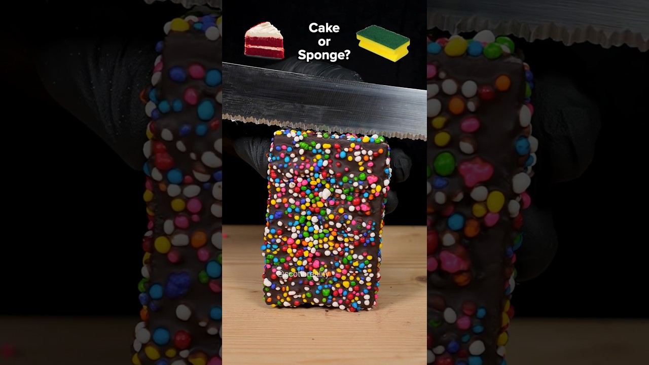 Can you guess?! Is this a cake 🍰 or a sponge? 🧽