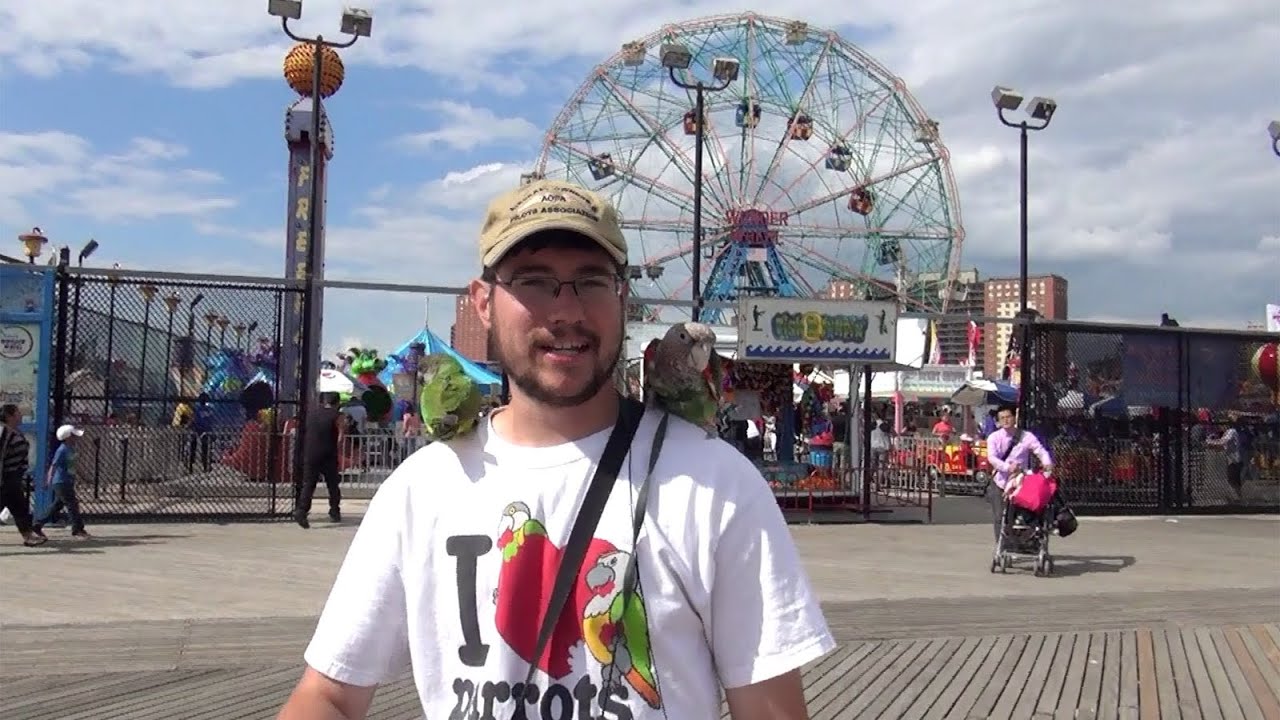 Parrots Visit Coney Island