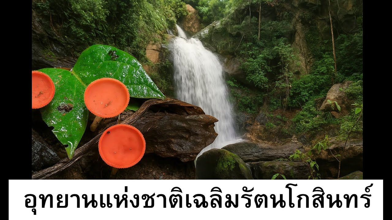 ท่องเที่ยว อุทยานแห่งชาติเฉลิมรัตนโกสินทร์