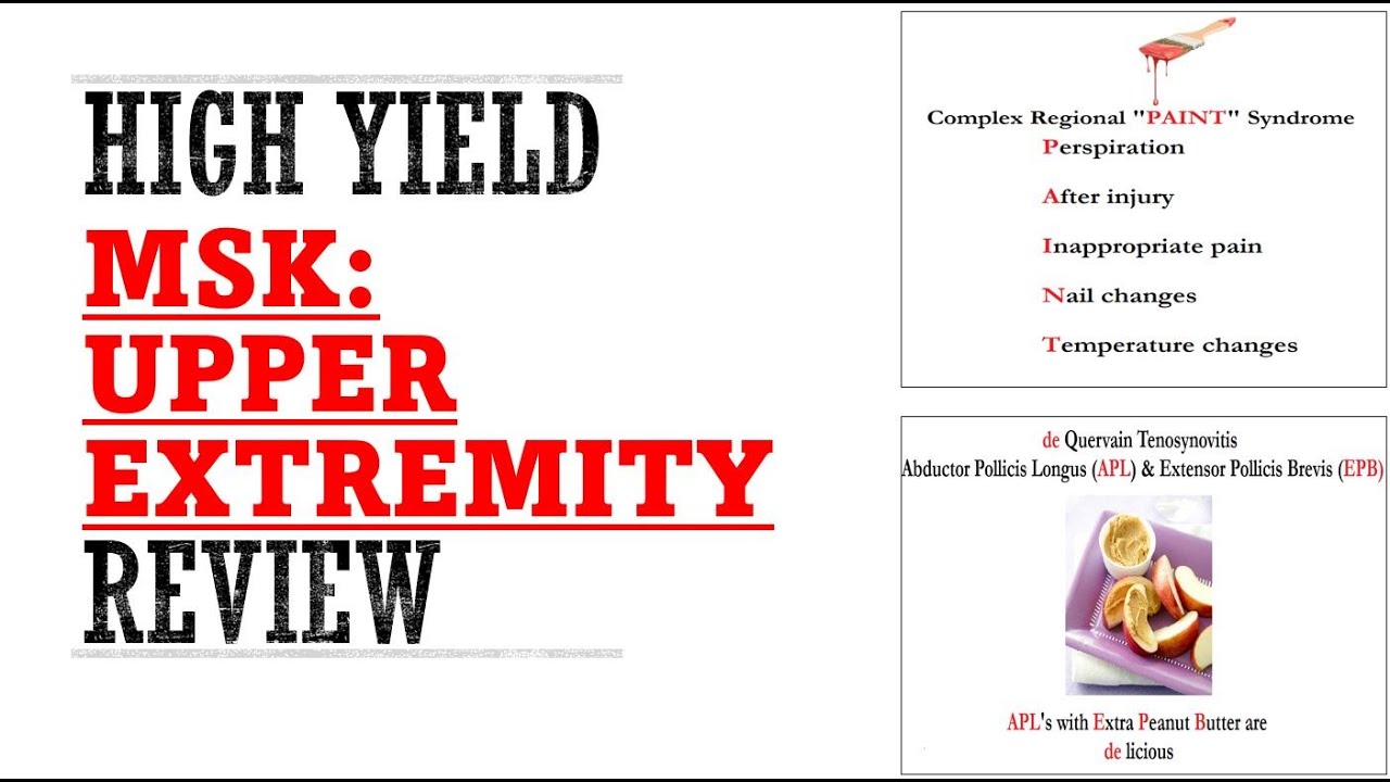 MSK Upper Extremity Review | Mnemonics And Proven Ways To Memorize For Your Exams!