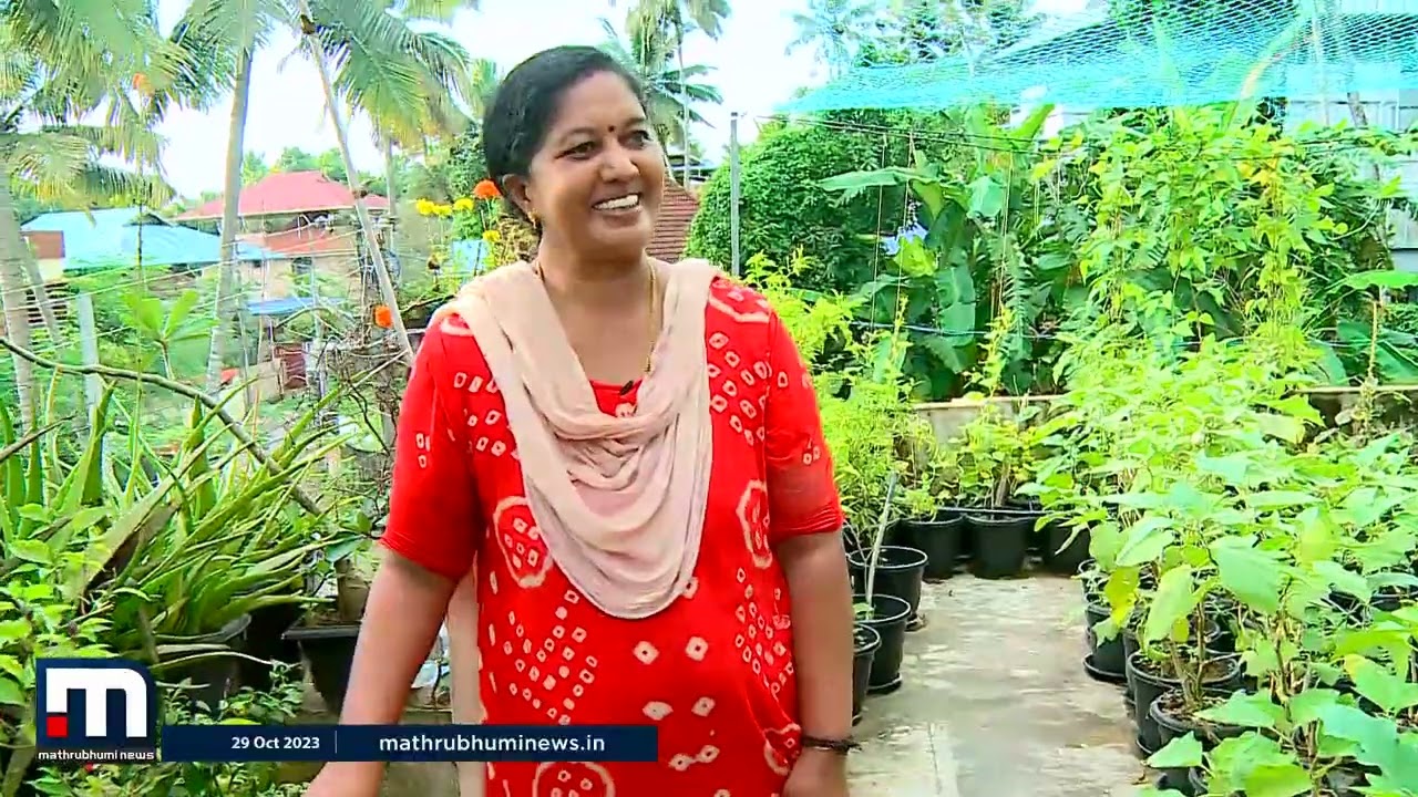 മട്ടുപ്പാവ് കൃഷിക്ക് അധിക സ്ഥലമൊന്നും വേണ്ട, വെറും 900 സ്‌ക്വയര്‍ ഫീറ്റ് മതി | Krishibhoomi