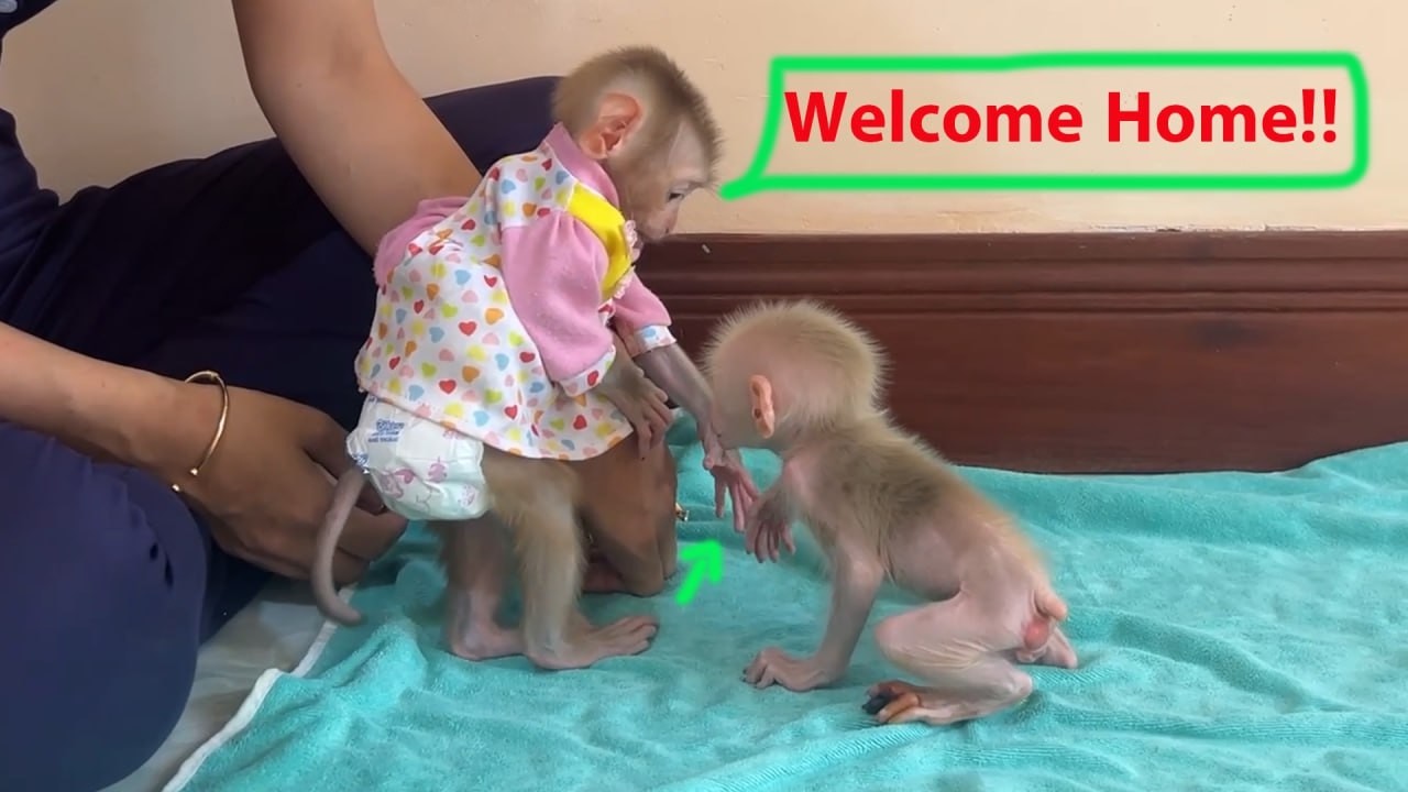 [Heart Melting] Yuri Warmly Welcome Her Newborn Sister By Soft Touching Her Hand