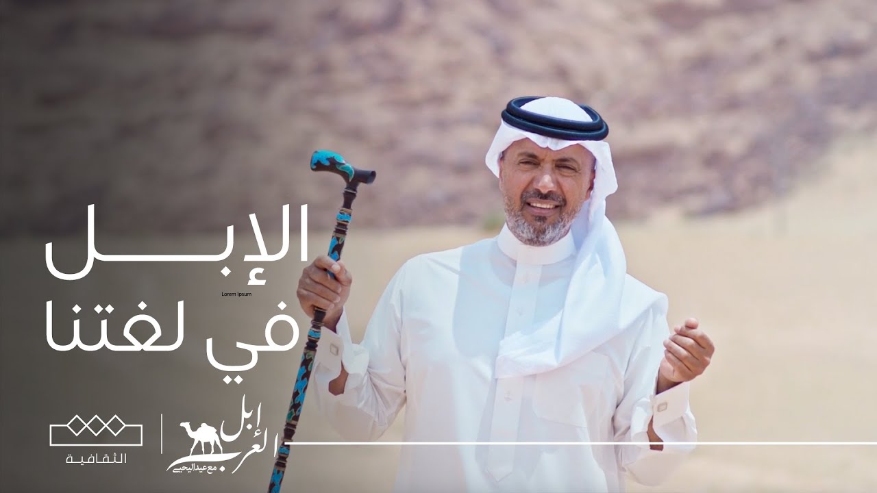 إبل العرب | الإبل في لغتنا مابين أسماء وأفعال