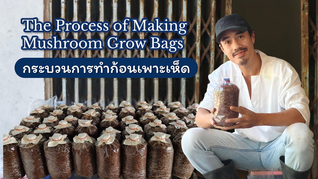The Process of Making Mushroom Grow Bags กระบวนการทำก้อนเพาะเห็ดแบบบ้านสวน