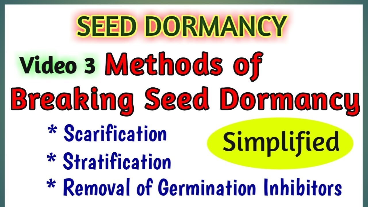 Methods of Breaking Seed Dormancy || How to break Seed Dormancy || Dormancy Breaking techniques full