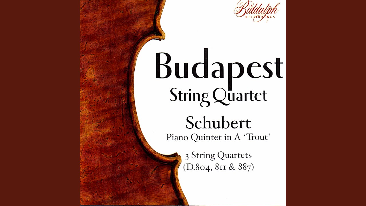 String Quartet No. 15 in G Major, Op. 161, D. 887: II. Andante un poco moto