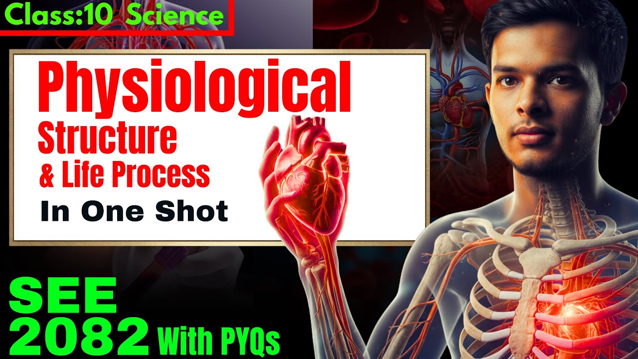 Class 10 Physiological Structure & Life Process In One Shot 🔥 | Full unit Revision + PYQs | SEE 2082