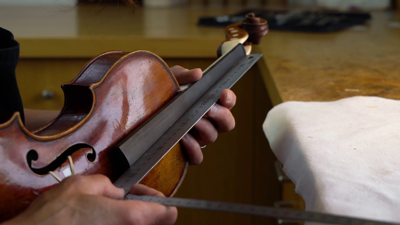 Glimpse into Part 2 of Online Violin Neck Graft Course