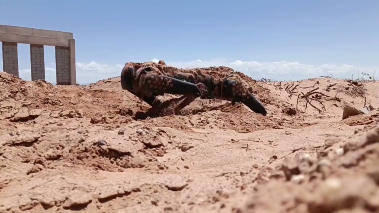 Unitree B1 robot hiding in the desert.