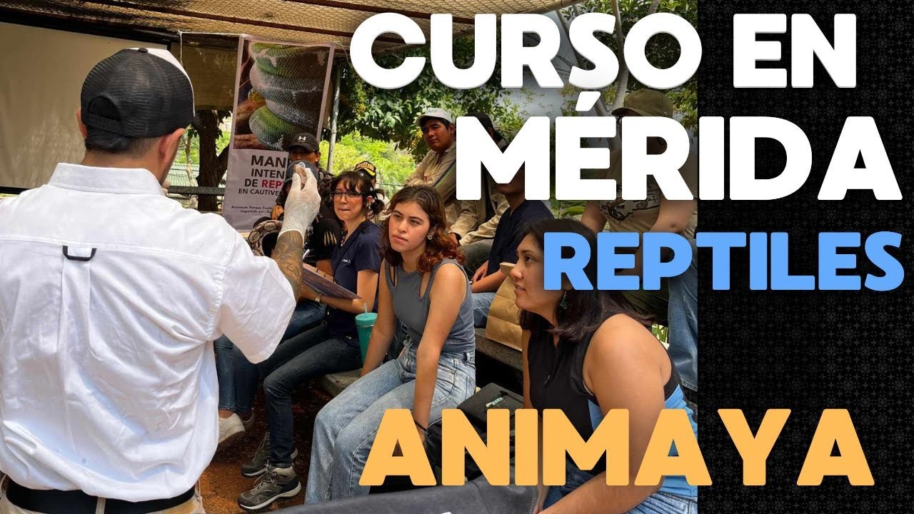 Fui a Mérida a dar un Curso sobre REPTILES!!!