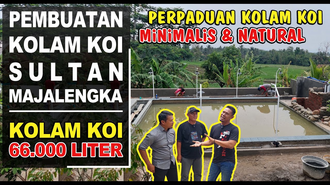 PEMBUATAN KOLAM KOI SULTAN 66.000 LITER‼️