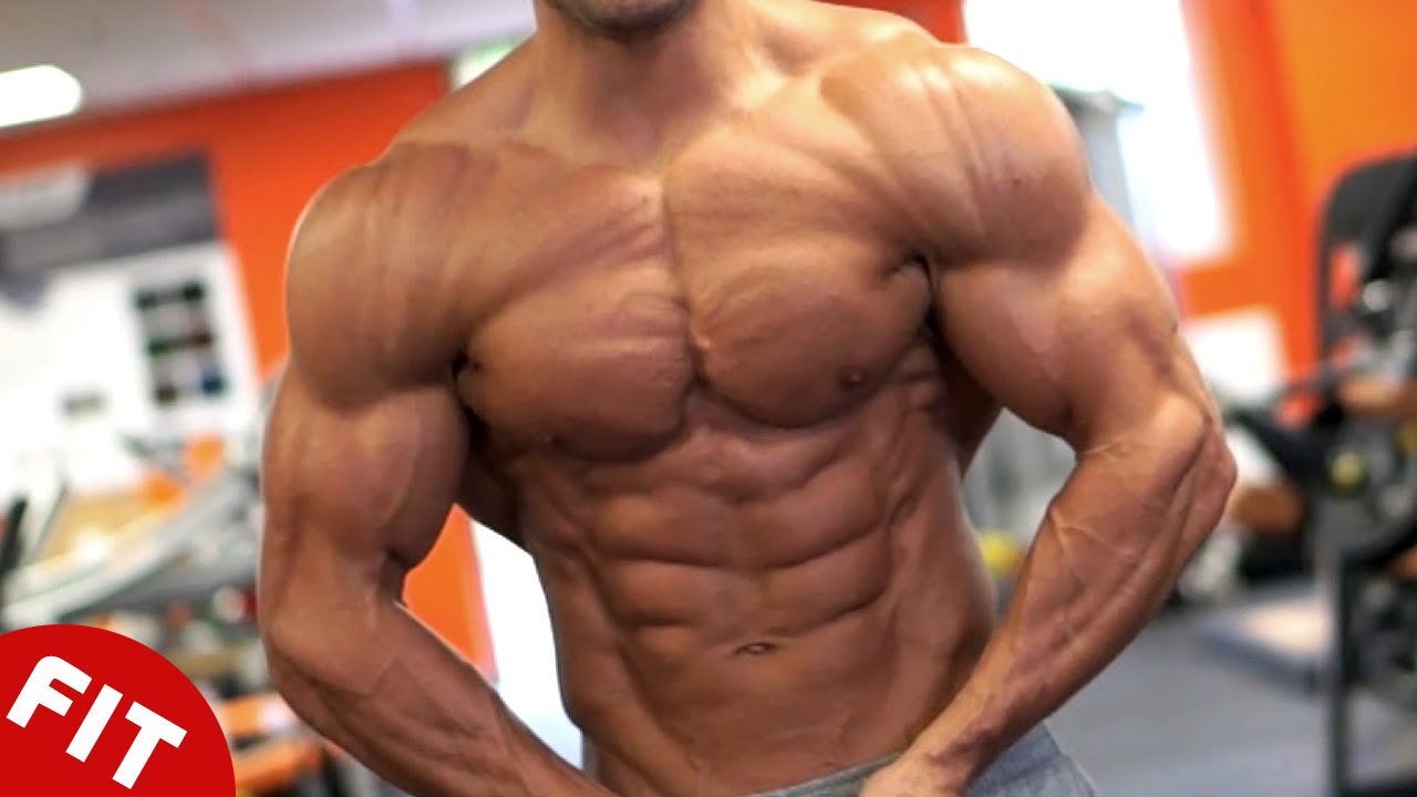 BEST BODIES OF 2015 (HD)