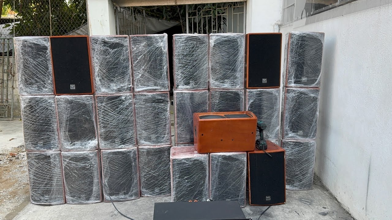 Lời Siêu Đẹp. Loa Egle ES10 sịn hãng. Ghép dàn kiểu gì cũng hay.
