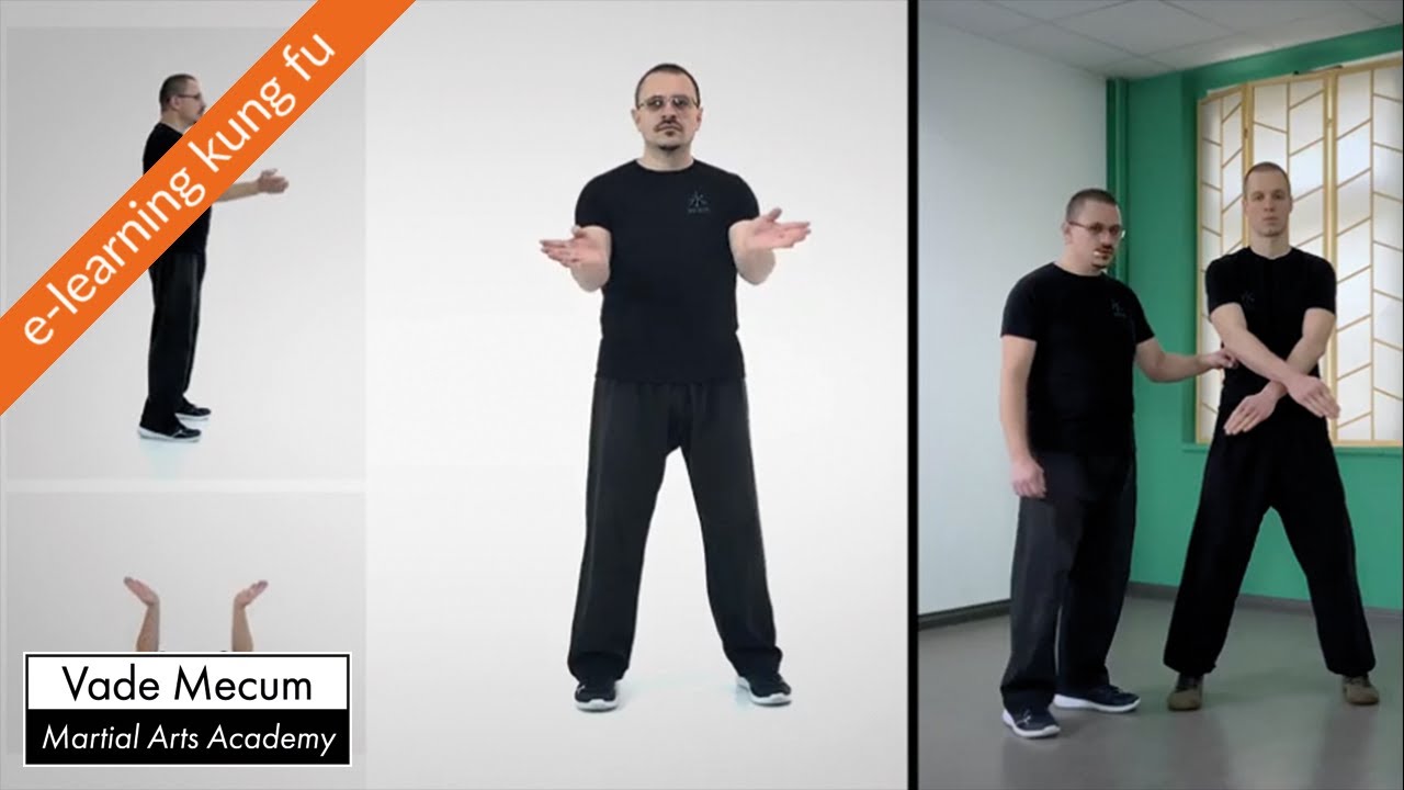 Wing Chun Kyun Online Course on Vade Mecum Academy