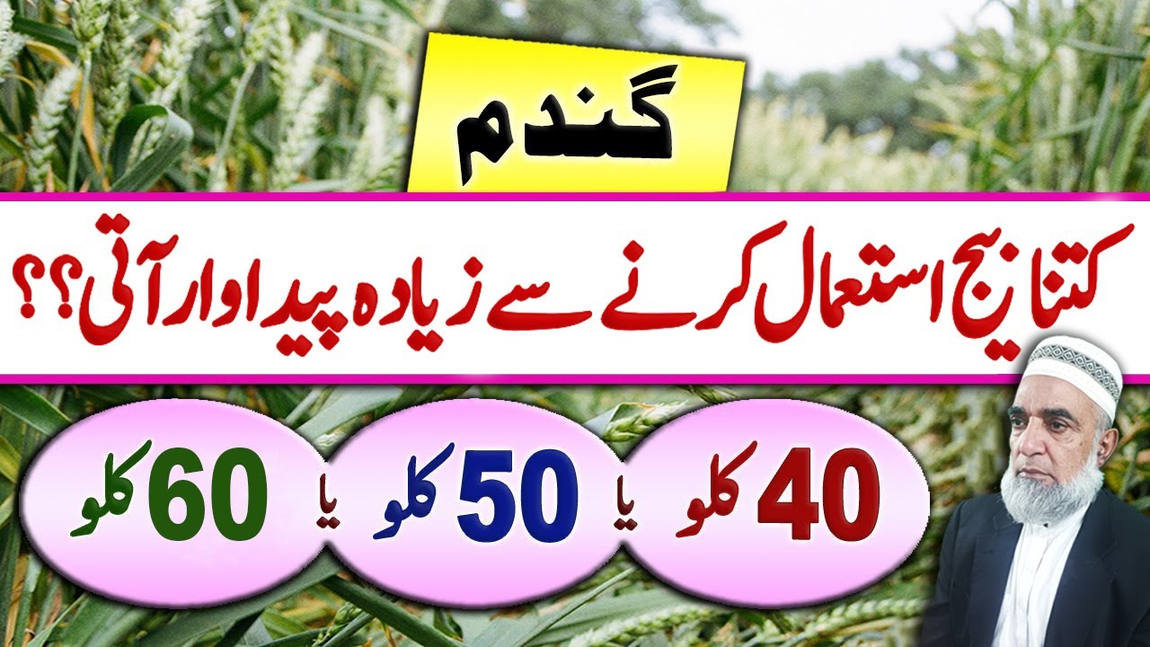 What is best Seed Rate for achieving better production || Crop Reformer