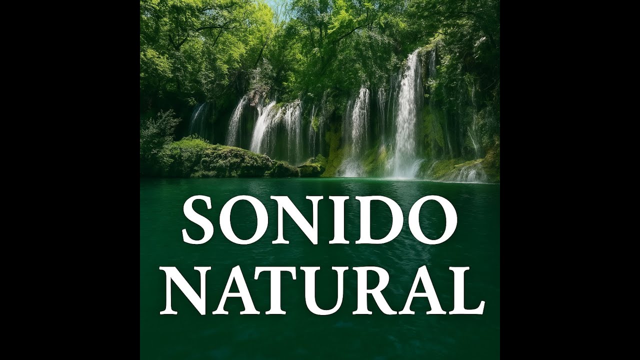 Sonido de agua y pájaros sin música 🐦🌳🏞️