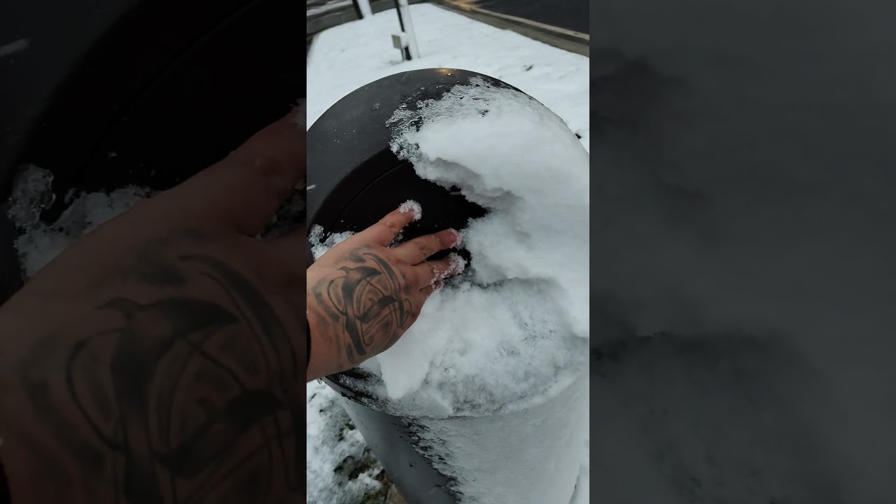 Bote de basura congelado ❄️